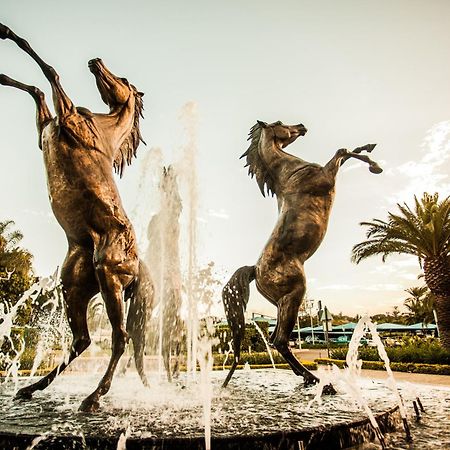 Golden Horse Hotel Pietermaritzburg Kültér fotó